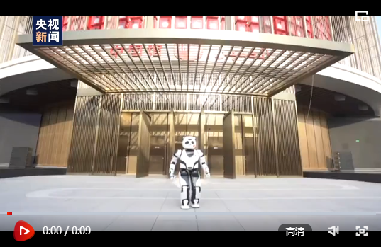 迪拜世博会中国馆熊猫周开幕 网红熊猫机器人“萌化”世博园
