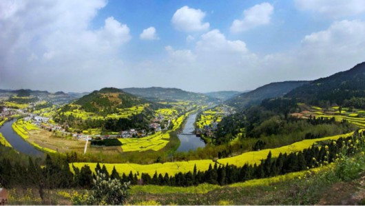 webwxgetmsgimg.jpg webwxgetmsgimg.jpg