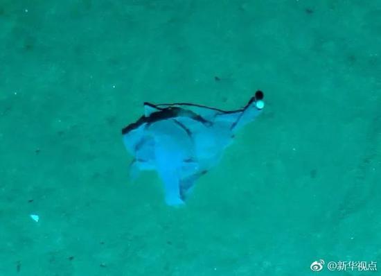 向网友征名的“潜龙三号”首次下潜，在深度3900多米的海底，除了拍摄到美丽的深海生物，也拍到了塑料垃圾。