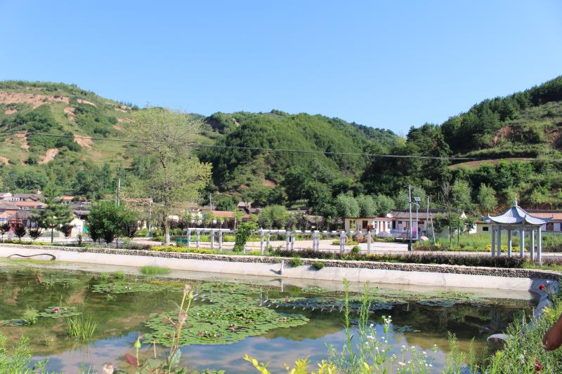 脱贫攻坚看甘肃 | 天水红崖村:昔日"不毛地"今朝"网红