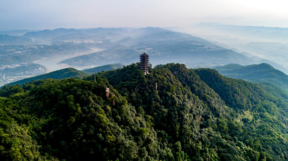 "北碚区相关负责人指出,北碚目前关于"花"的旅游资源很多,包括西山坪