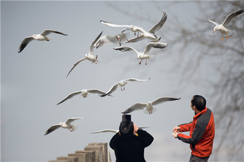 图片3.jpg 图片3.jpg