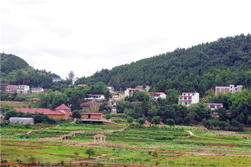 图片1.jpg 图片1.jpg