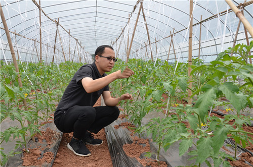 图片3.jpg 图片3.jpg