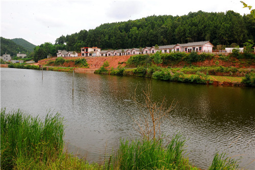 图片5.jpg 图片5.jpg