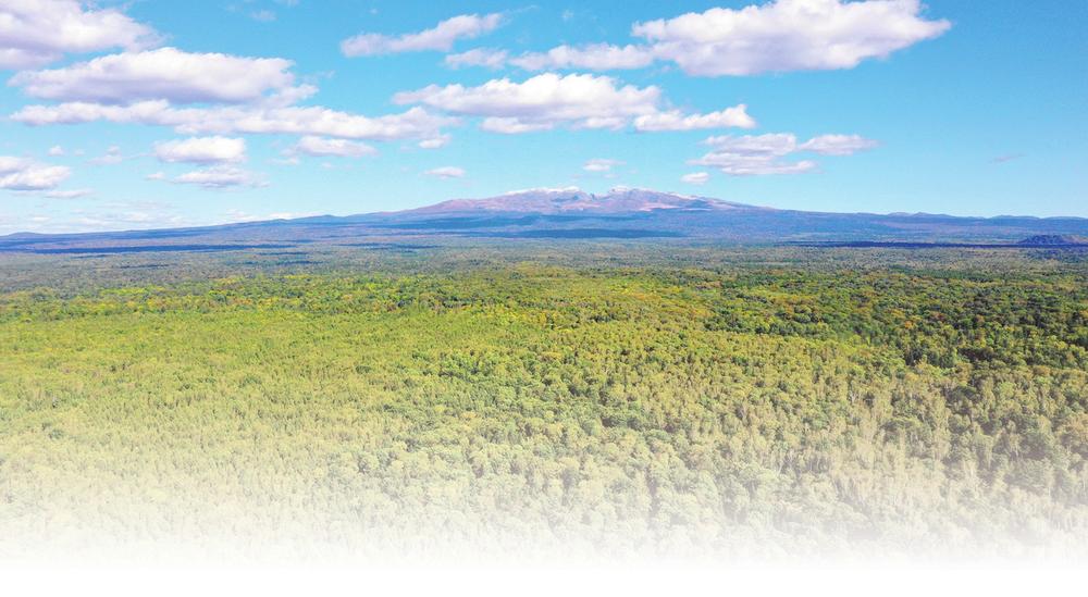 全民共建 绿美吉林——2020年全省计划完成造林绿化140万亩