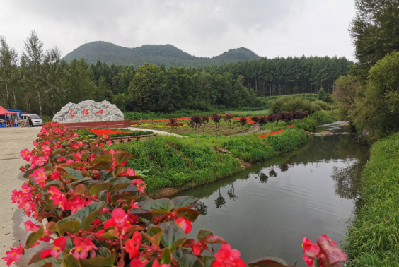 马鞍山村貌