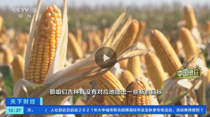 吉林省副省长韩福春：2021年吉林粮食产量将首次破800亿斤大关，600亿斤玉米9成达一等品质