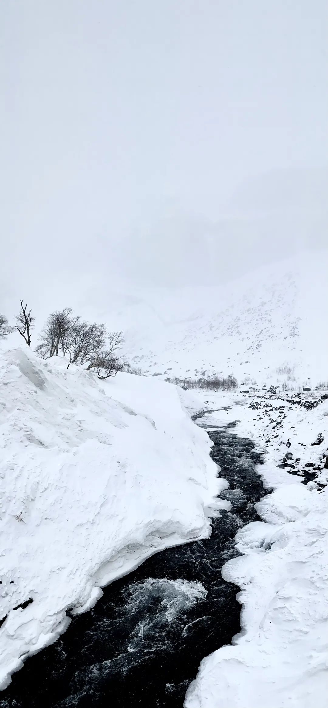 640_wx_fmt=jpeg&from=appmsg&wxfrom=5&wx_lazy=1&wx_co=1 (4).jpg 640_wx_fmt=jpeg&from=appmsg&wxfrom=5&wx_lazy=1&wx_co=1 (4).jpg