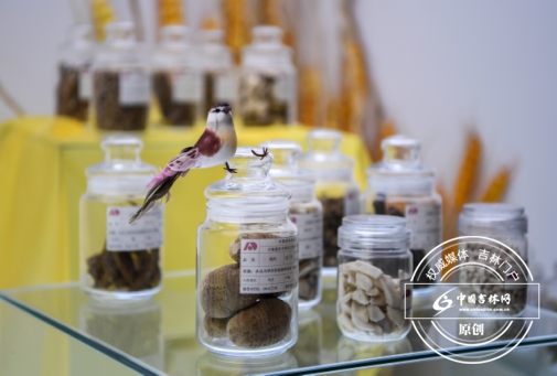 医药产业逆风飞扬 医药产业逆风飞扬