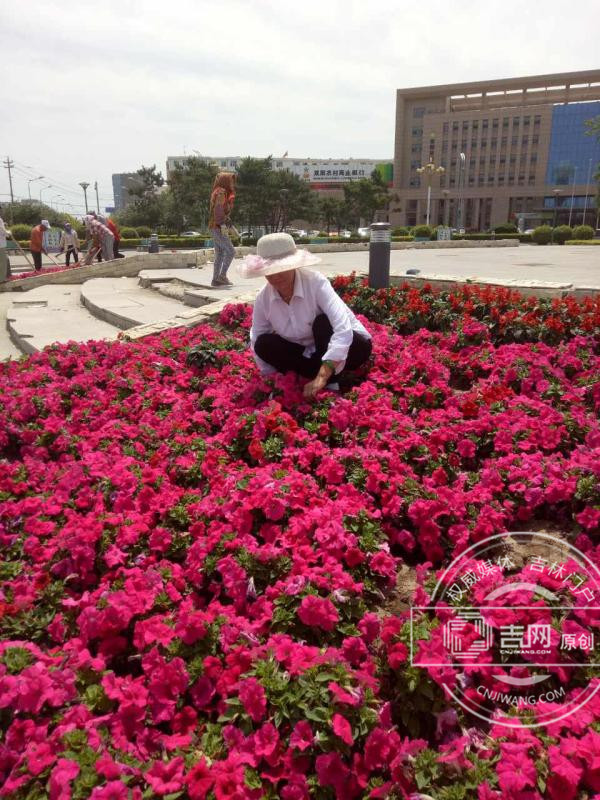 赵凤琴:我是党员，就该干点党员该干的事