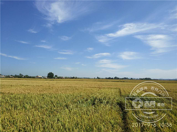 吉林省农科院坚持做强“三大体系” 打造高科技农业