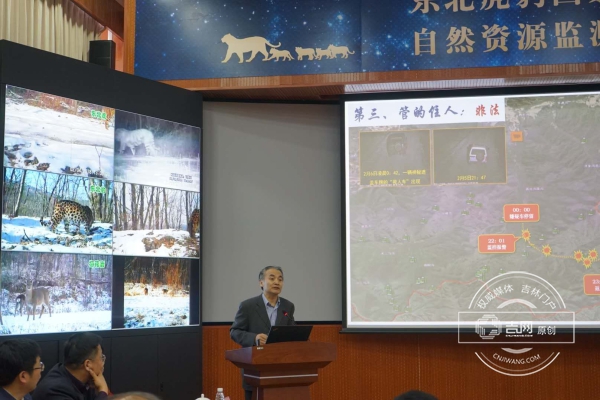 看得见虎豹 管得住人东北虎豹国家公园自然资源监测系统开通
