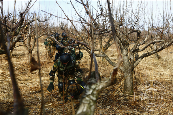 吉林边防总队机动支队开展实战演训8.png