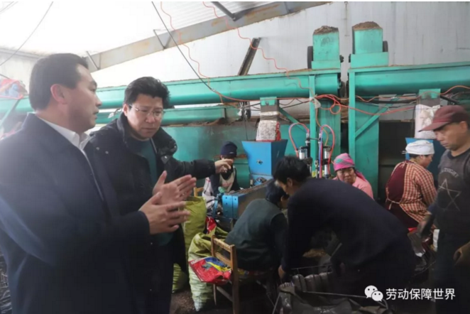吉林省人社厅在扶贫包保村开展中药材栽培示范基地建设筹备工作