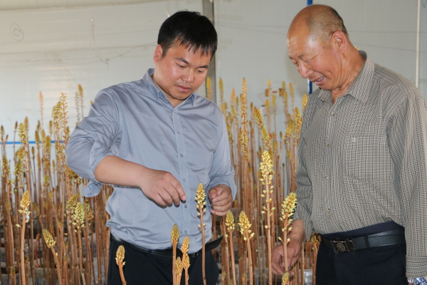 品牌扶贫闯新路——记靖宇县龙泉镇大北山村第一书记高世龙