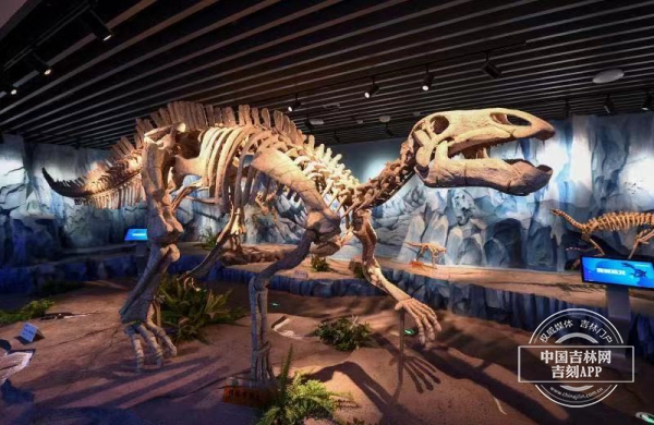 2021，吉林振兴ING丨在恐龙化石中重回白垩纪