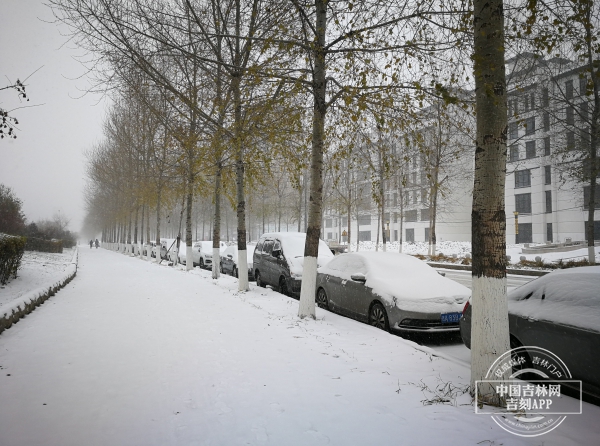 长春市已降大雪!8日或出现冻雨