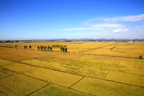 QQ图片20220107105337.jpg QQ图片20220107105337.jpg