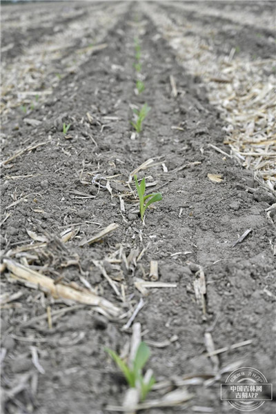 图片 4.jpg 图片 4.jpg