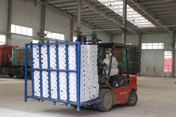 图片4.png 图片4.png