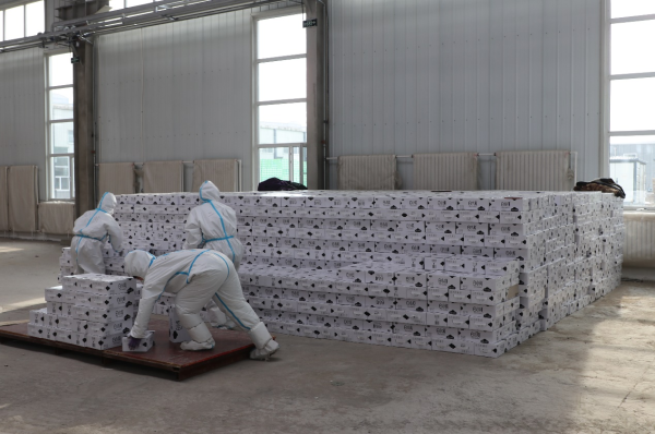 图片6.png 图片6.png