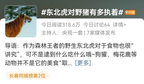 东北虎_副本.jpg 东北虎_副本.jpg