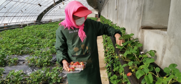 eaebf96956bae3ee8b07ff4bf9b9e75.jpg eaebf96956bae3ee8b07ff4bf9b9e75.jpg