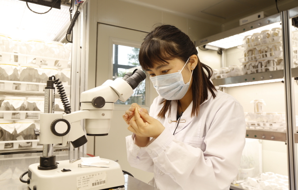 ecbd655d12398d4b42f154e0518eb82.jpg ecbd655d12398d4b42f154e0518eb82.jpg