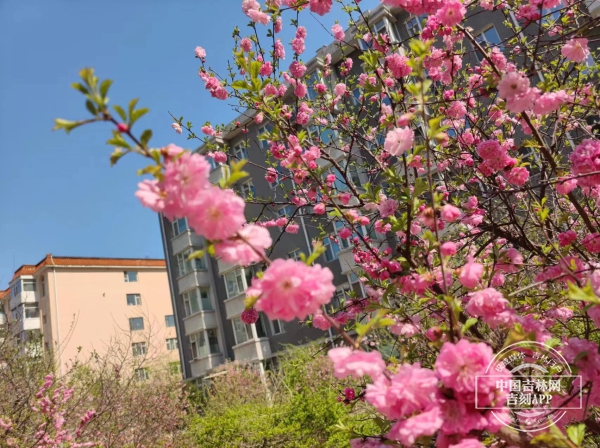 微信图片_20230501180612.jpg 微信图片_20230501180612.jpg