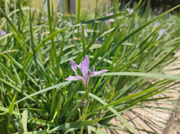 微信图片_20230529151319.jpg 微信图片_20230529151319.jpg