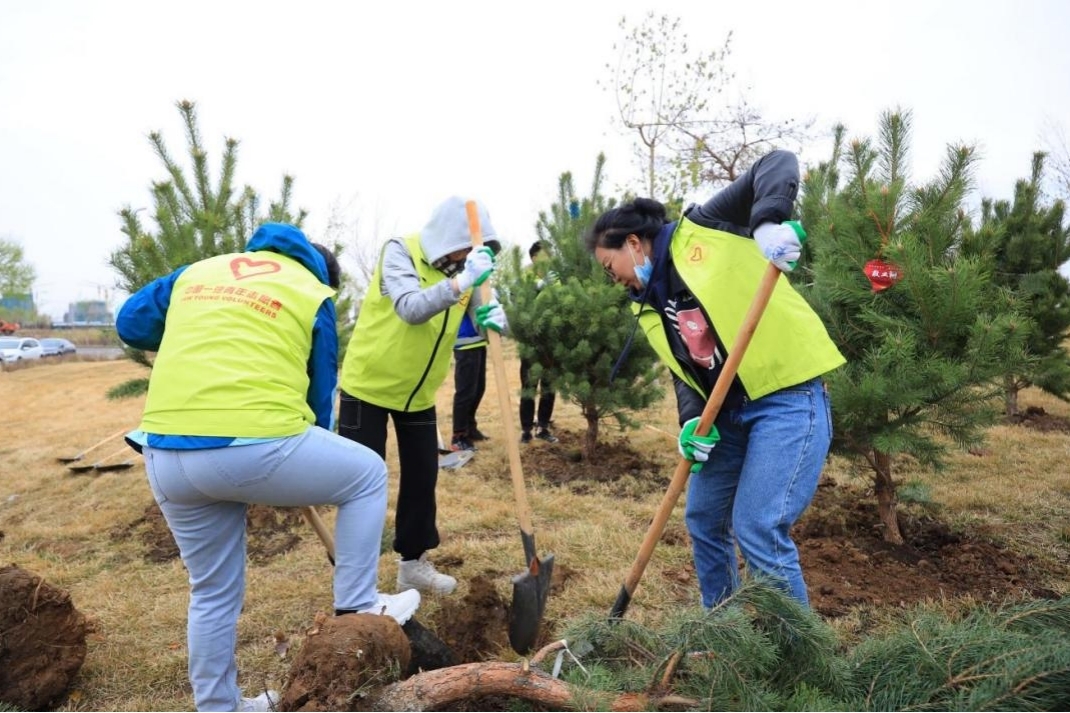 图片13.jpg 图片13.jpg