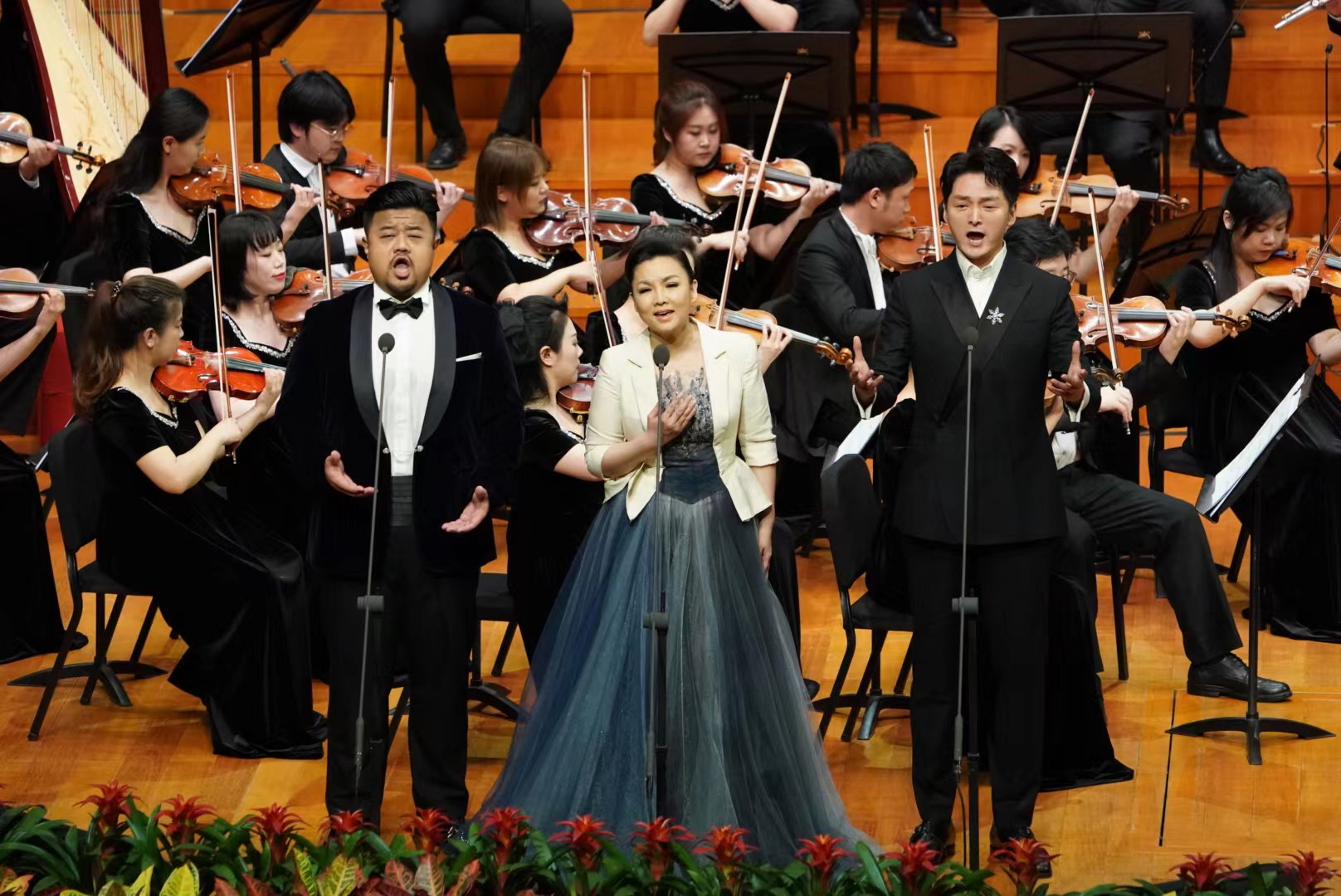 58C29066-9E32-4B07-833E-9113FA860743.jpeg 58C29066-9E32-4B07-833E-9113FA860743.jpeg