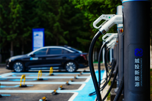 W020230708280387485207.jpg W020230708280387485207.jpg