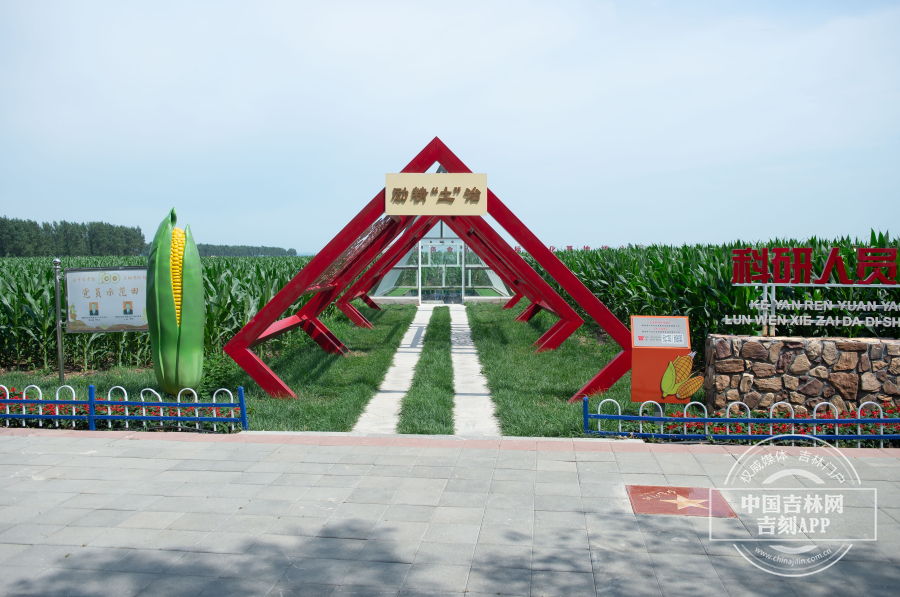 梨树百万亩绿色食品玉米标准化基地核心区 (8).jpg 梨树百万亩绿色食品玉米标准化基地核心区 (8).jpg