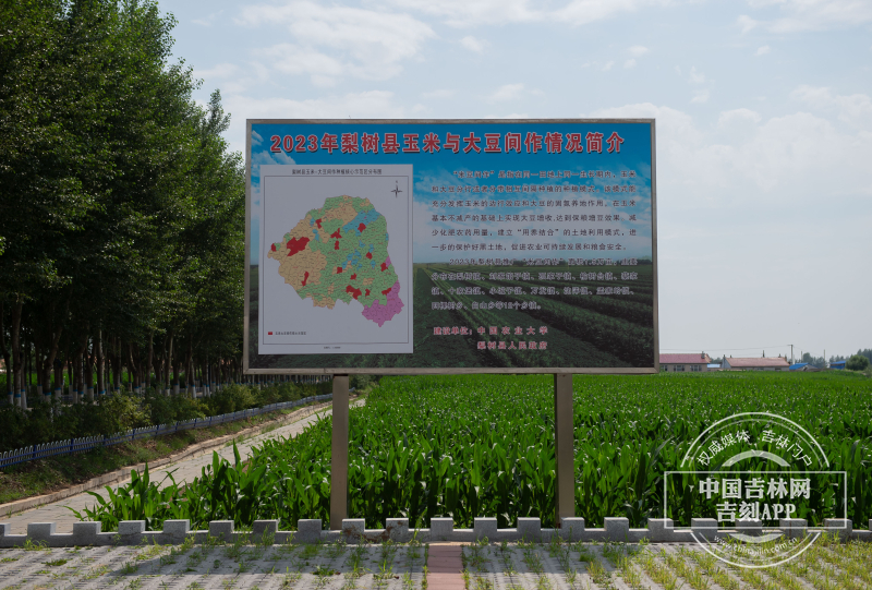 梨树百万亩绿色食品玉米标准化基地核心区 (5).jpg 梨树百万亩绿色食品玉米标准化基地核心区 (5).jpg