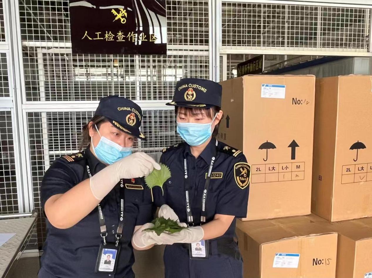 图片1.jpg 图片1.jpg