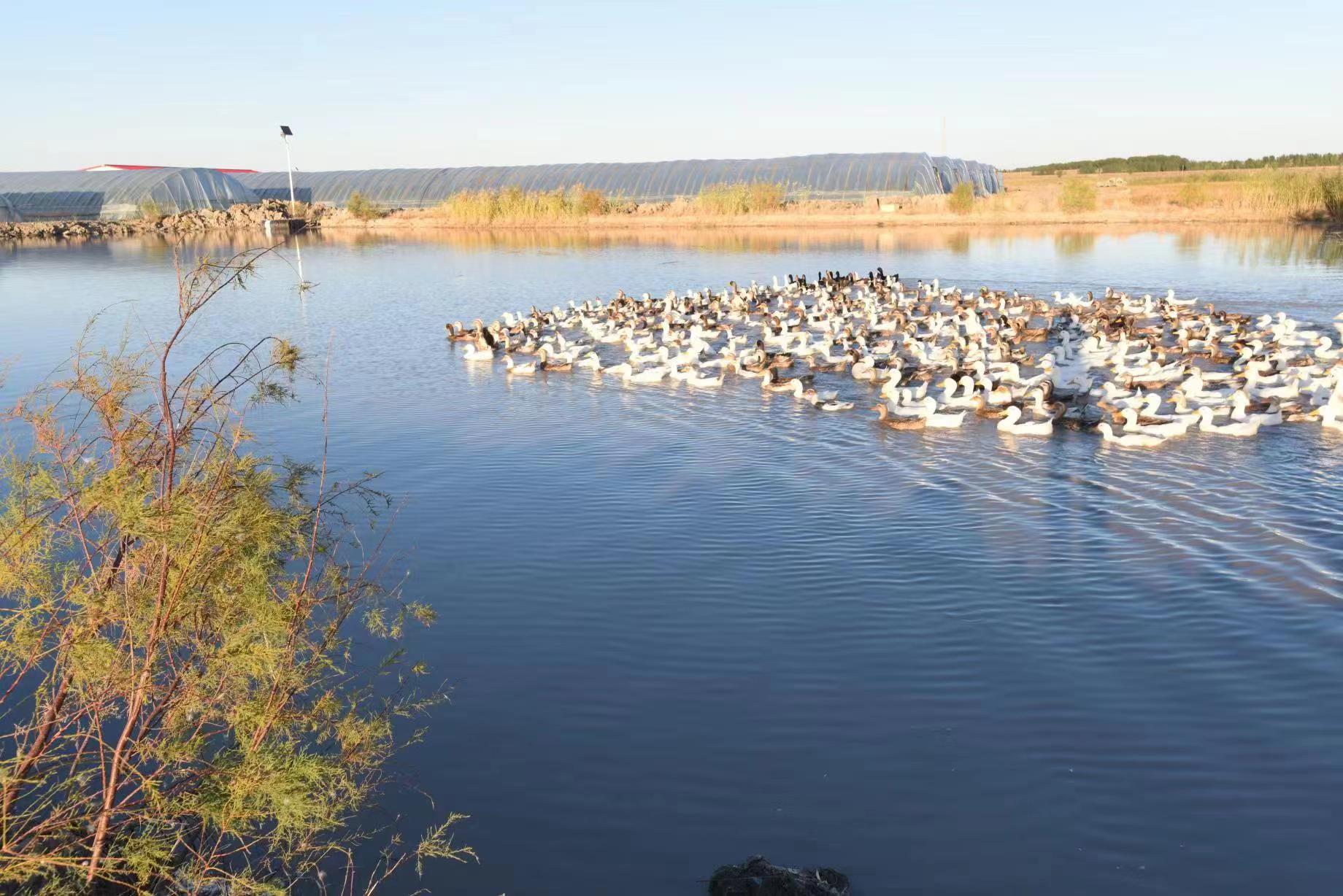 413715509.jpg 413715509.jpg