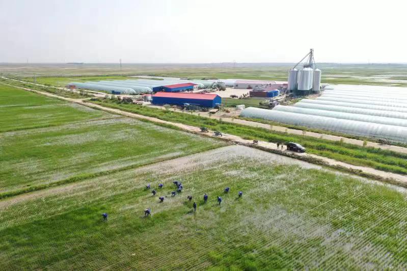 746451556.jpg 746451556.jpg