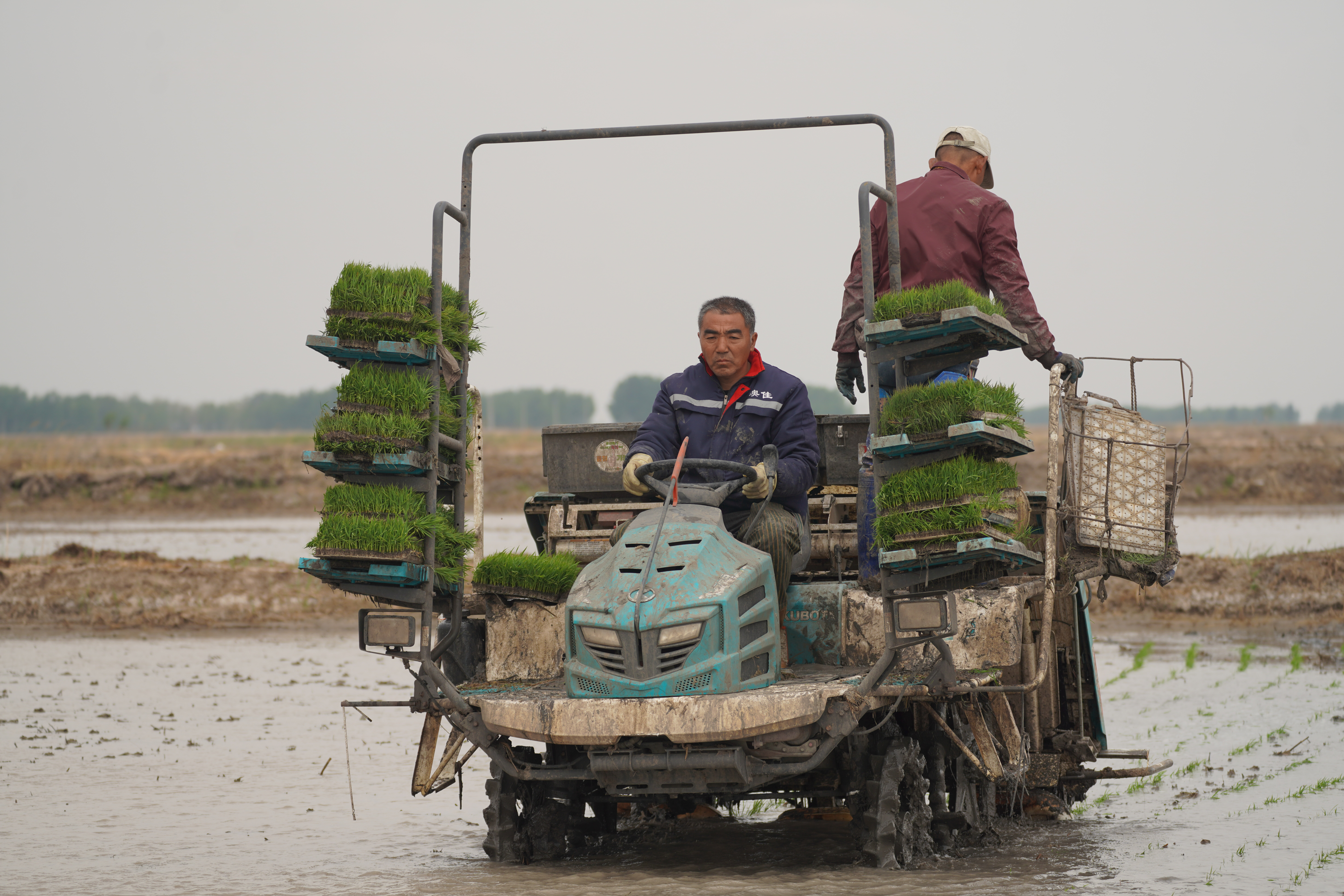 (今年,时间不详).jpg (今年,时间不详).jpg