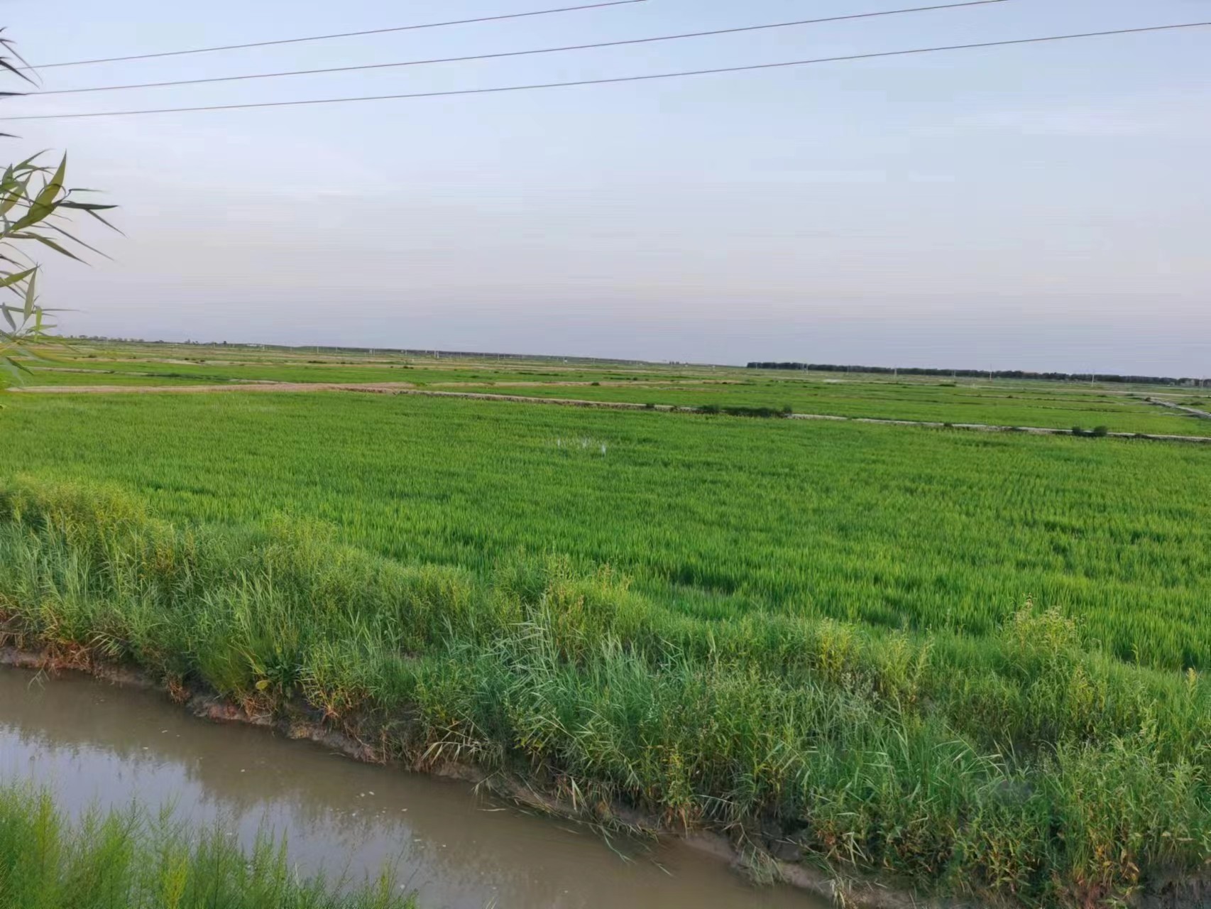 1327943792.jpg 1327943792.jpg