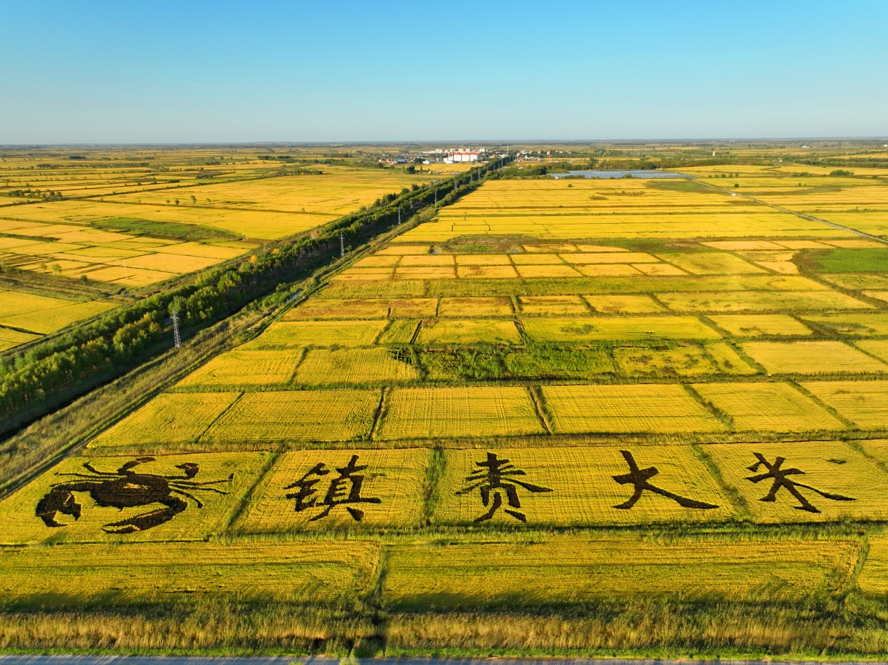 图片6.png 图片6.png