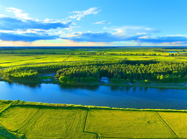 图片8.png 图片8.png