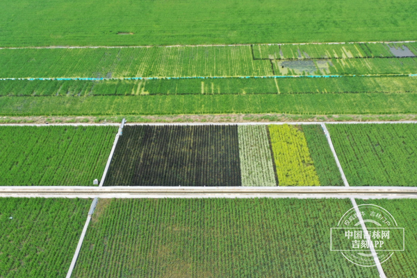 图片5.png 图片5.png