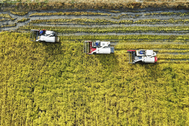 640_wx_fmt=gif&wxfrom=5&wx_lazy=1 (2).gif 640_wx_fmt=gif&wxfrom=5&wx_lazy=1 (2).gif