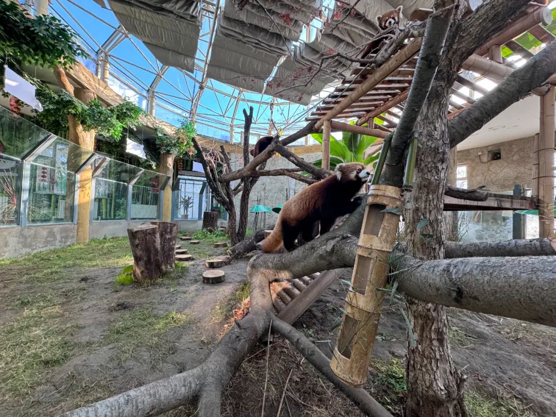 640 (1).jpg 640 (1).jpg