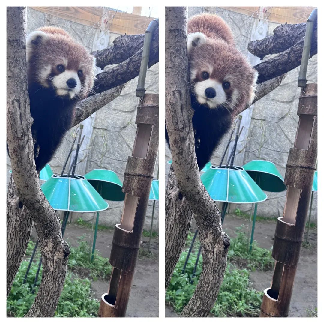 640 (2).jpg 640 (2).jpg