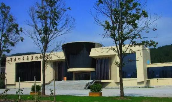 图片2.jpg 图片2.jpg