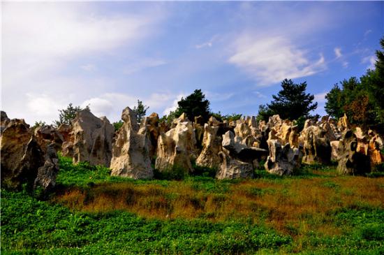 图片7.jpg 图片7.jpg