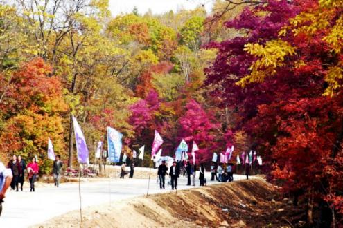 红叶谷.jpg 红叶谷.jpg